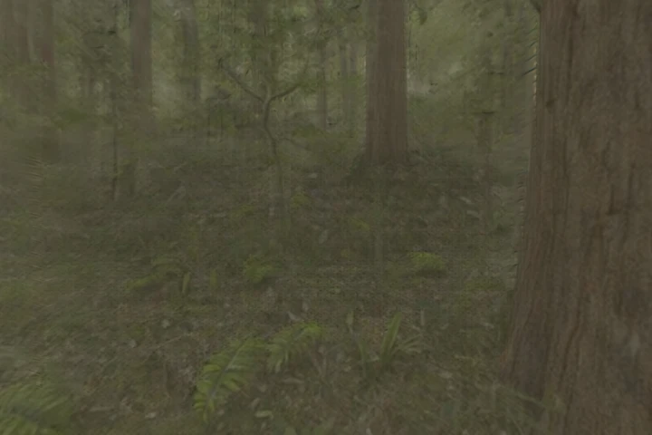 A forest — loading walkable 3D world