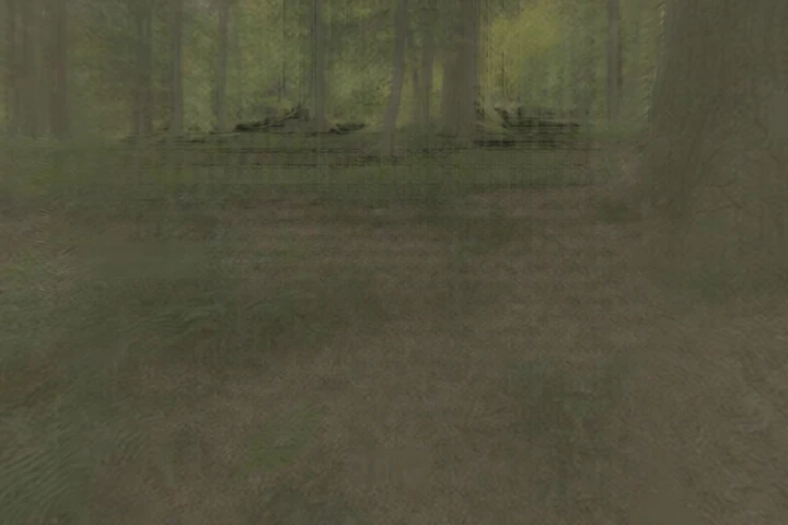 A forest — loading walkable 3D world